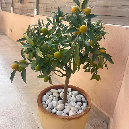 Floramarine Appartamento Saint-Raphaël