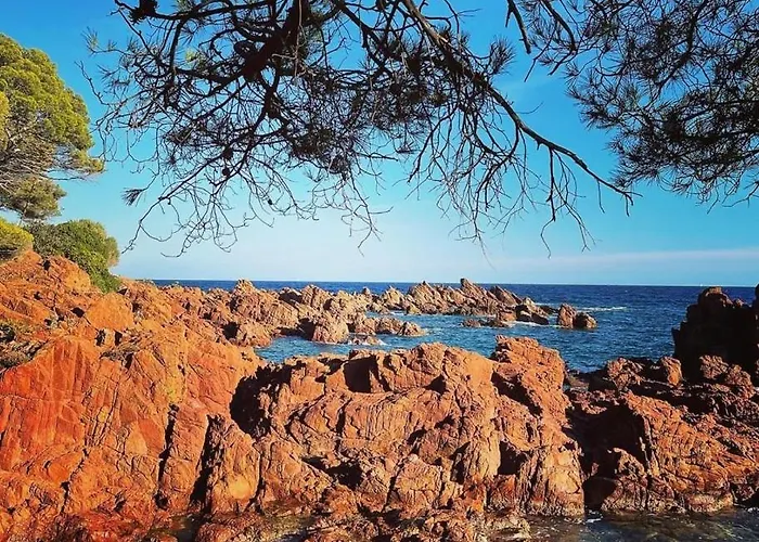 Lägenhet Floramarine *