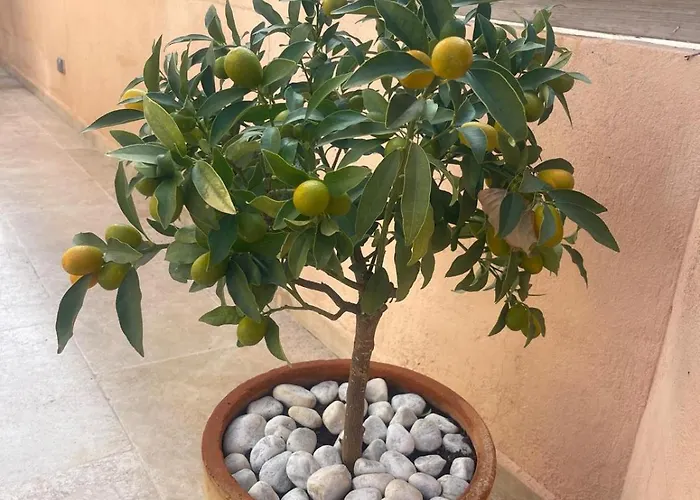 Floramarine Apartamento Saint-Raphaël